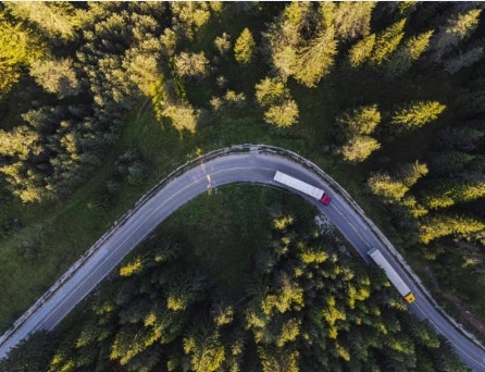 Vista aérea de una carretera en curva rodeada de un denso bosque de pinos, con varios camiones circulando.